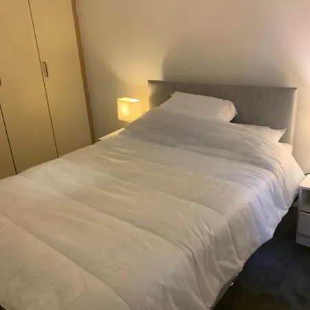 Lägenhet Exhilarating 2bd Flat With Outdoor Patio Dublin!