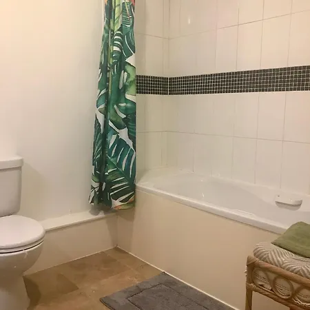 Exhilarating 2bd Flat With Outdoor Patio Dublin! * דבלין